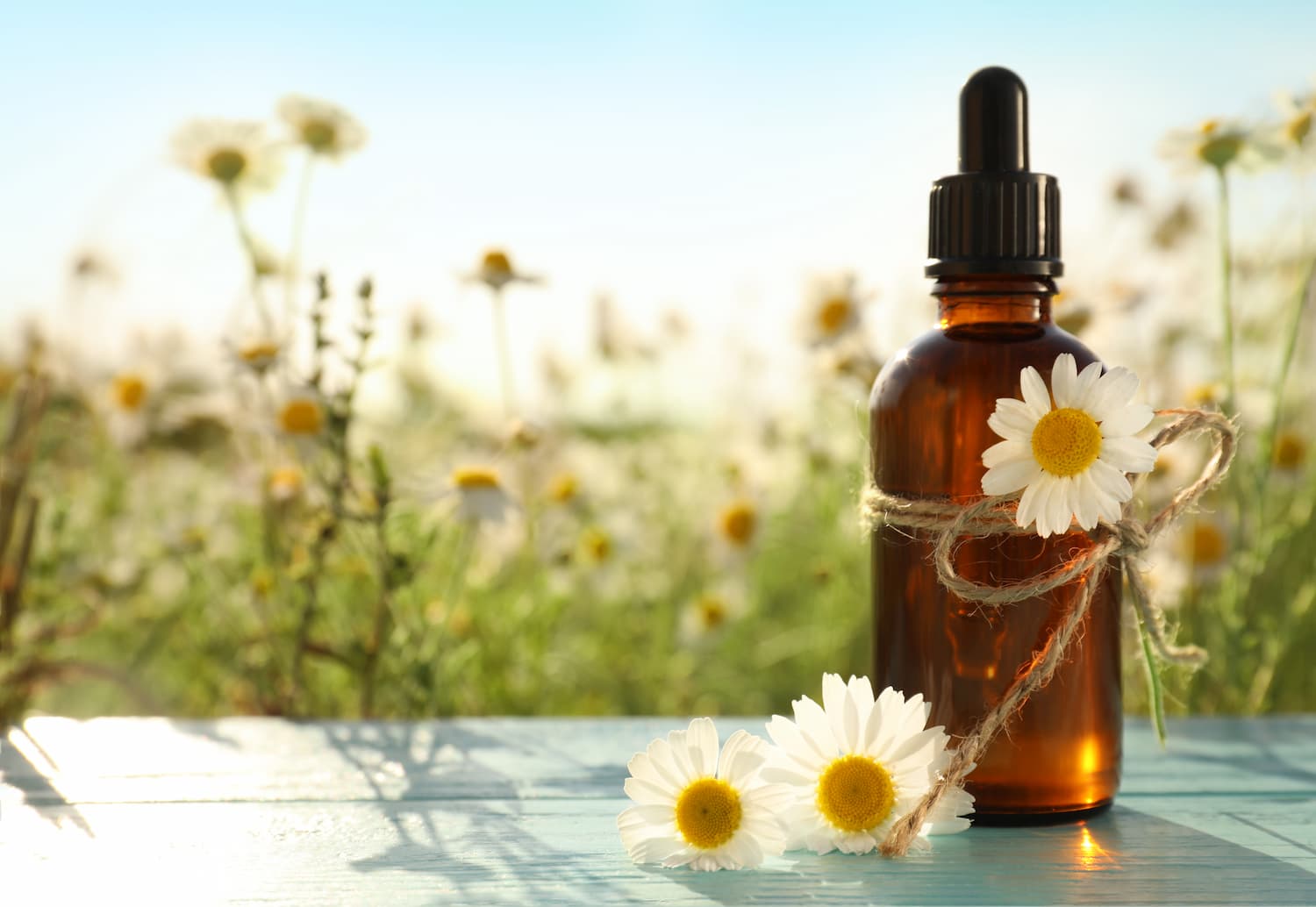 Perte de poids : ces 8 huiles essentielles que vous devriez essayer !