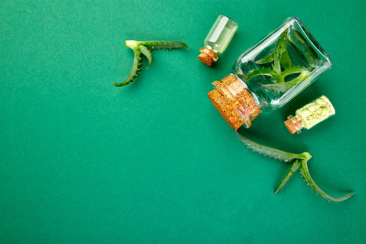 Les bienfaits de l’aloe vera dans l’alimentation