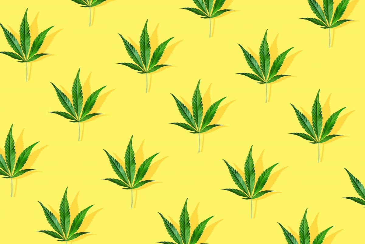 Le CBD : un allié pour votre bien-être !