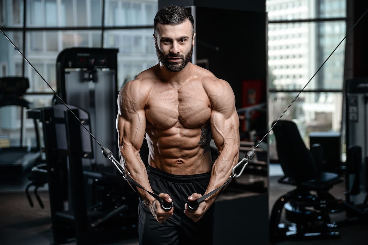 La composition exemplaire des Gainers pour la prise de masse musculaire