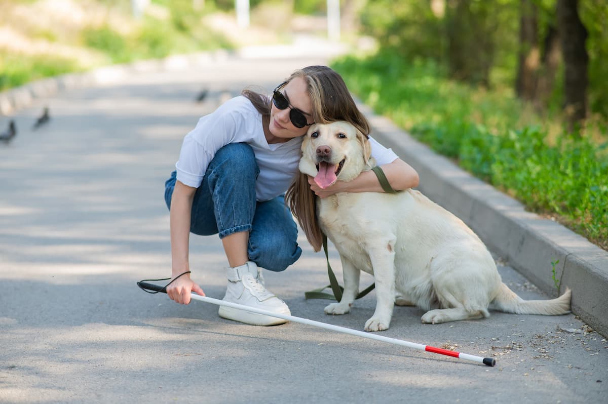 Qu&rsquo;est-ce qu&rsquo;un chien guide d&rsquo;aveugle ?
