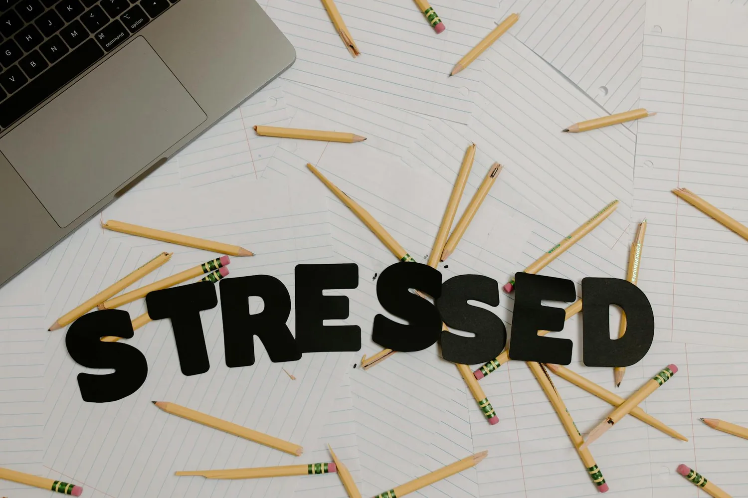 Formation sur la gestion du stress : ce qu&rsquo;il faut savoir avant de se lancer